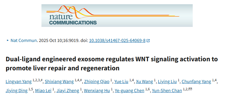 “双功能工程外泌体”体内修复效能！“转录组PCA+GSEA分析”深挖分子机制