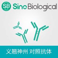 Human IgG1 (M252Y, S254T, T256E), kappa Isotype Control