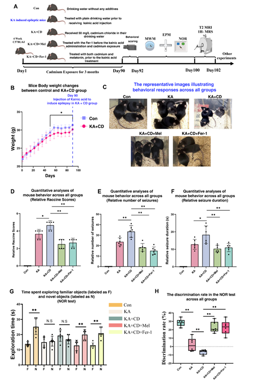 技术资料图片11