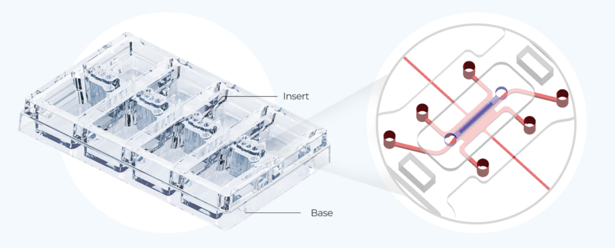 点成生物MEPS-TBC 3D器官芯片
