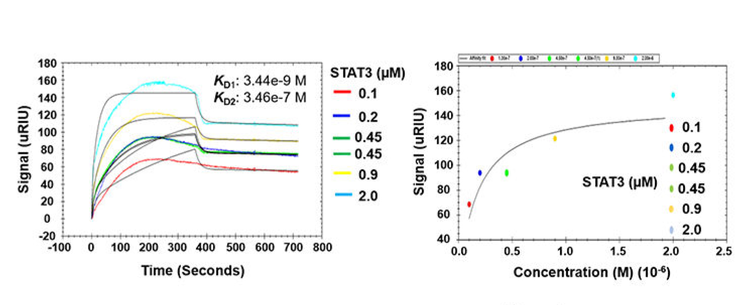 30年1.5万篇论文！STAT蛋白在癌症研究中的3个应用实例解析