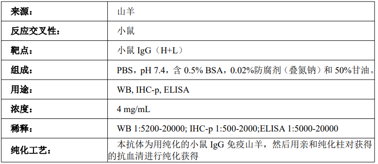 HRP 标记山羊抗小鼠 IgG 抗体