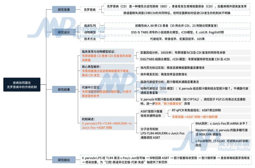 客户案例 | 口-肠轴新发现：口腔细菌颠覆胆汁酸平衡，打开克罗恩病的“致病缺口”