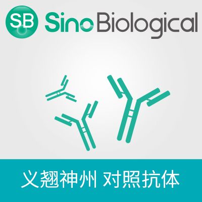 Human IgG1 (N297A), kappa Isotype Control