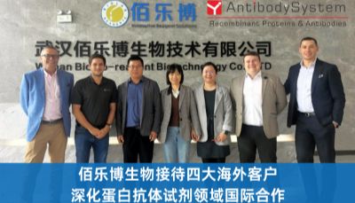 佰乐博生物接待四大海外客户，深化蛋白抗体试剂领域国际合作