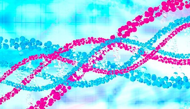 直扩qPCR新体验：快速、高灵敏的基因分型方案