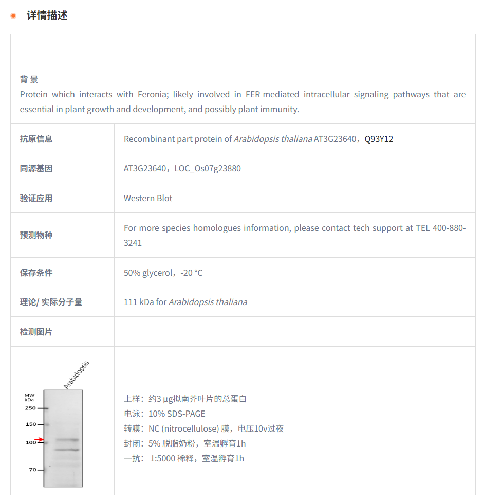 产品细节图片1