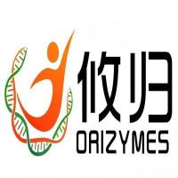 【植物抗体】Anti-RAP2-12/ Ethylene-responsive transcription factor RAP2-12