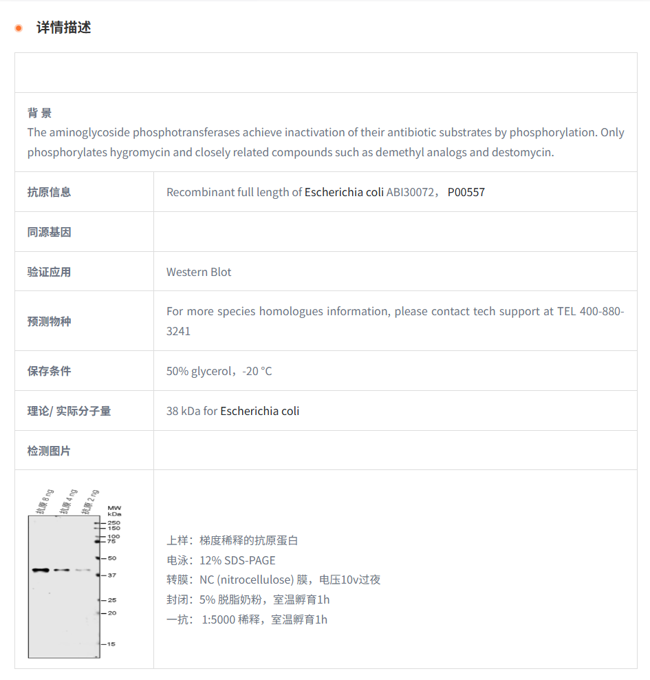 【植物抗体】Anti-HPT/ Hygromycin B p