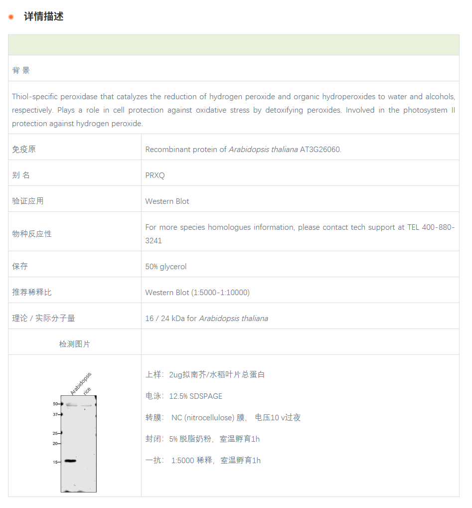 产品细节图片1