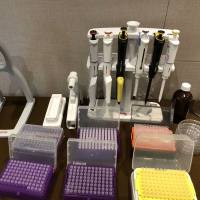 Thermo Fisher货号4661040N上海睿安生物Finnpipette F1 1-10μl micro 12道可变量程移液器CE认证19121878899