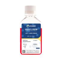 DMEM/F12 基础培养基