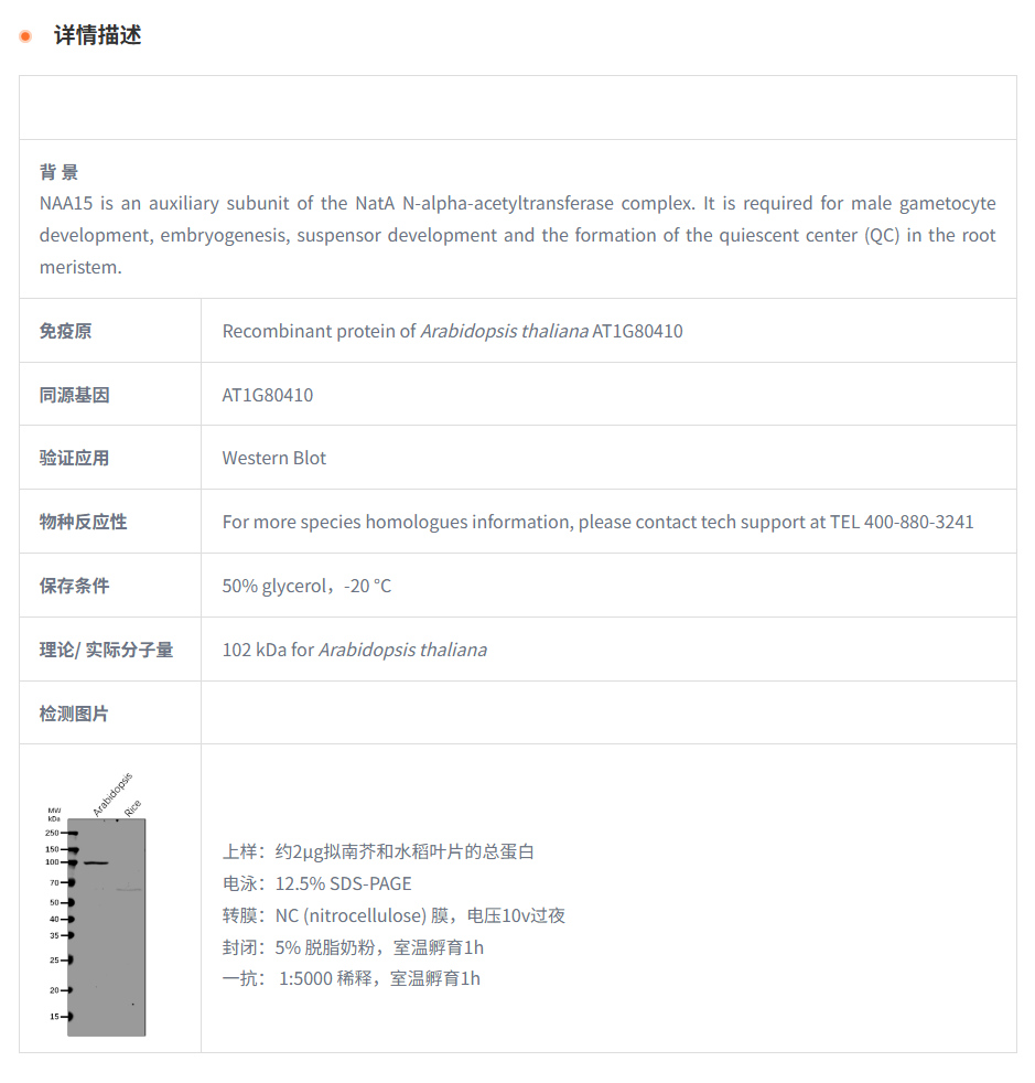 产品细节图片1