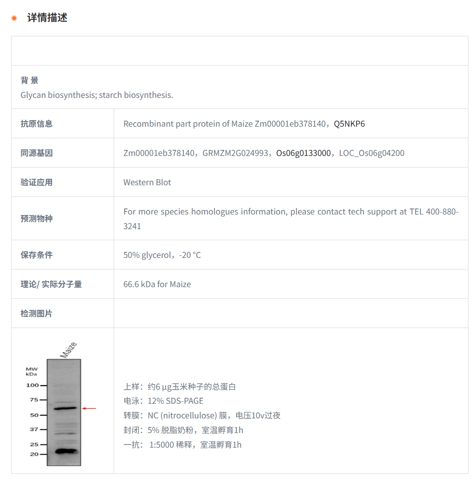 产品细节图片1