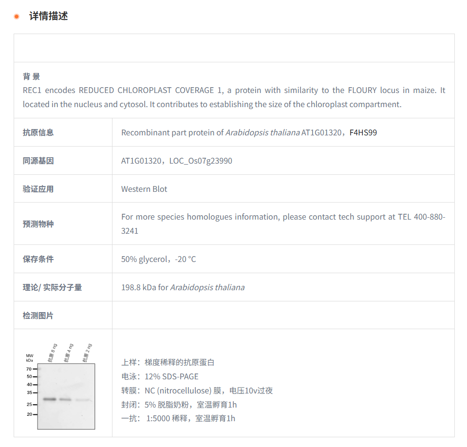 产品细节图片1