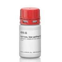 低凝胶温度的琼脂糖