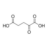 α-酮戊二酸.