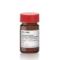 蛋白酶 来源于地衣芽孢杆菌.