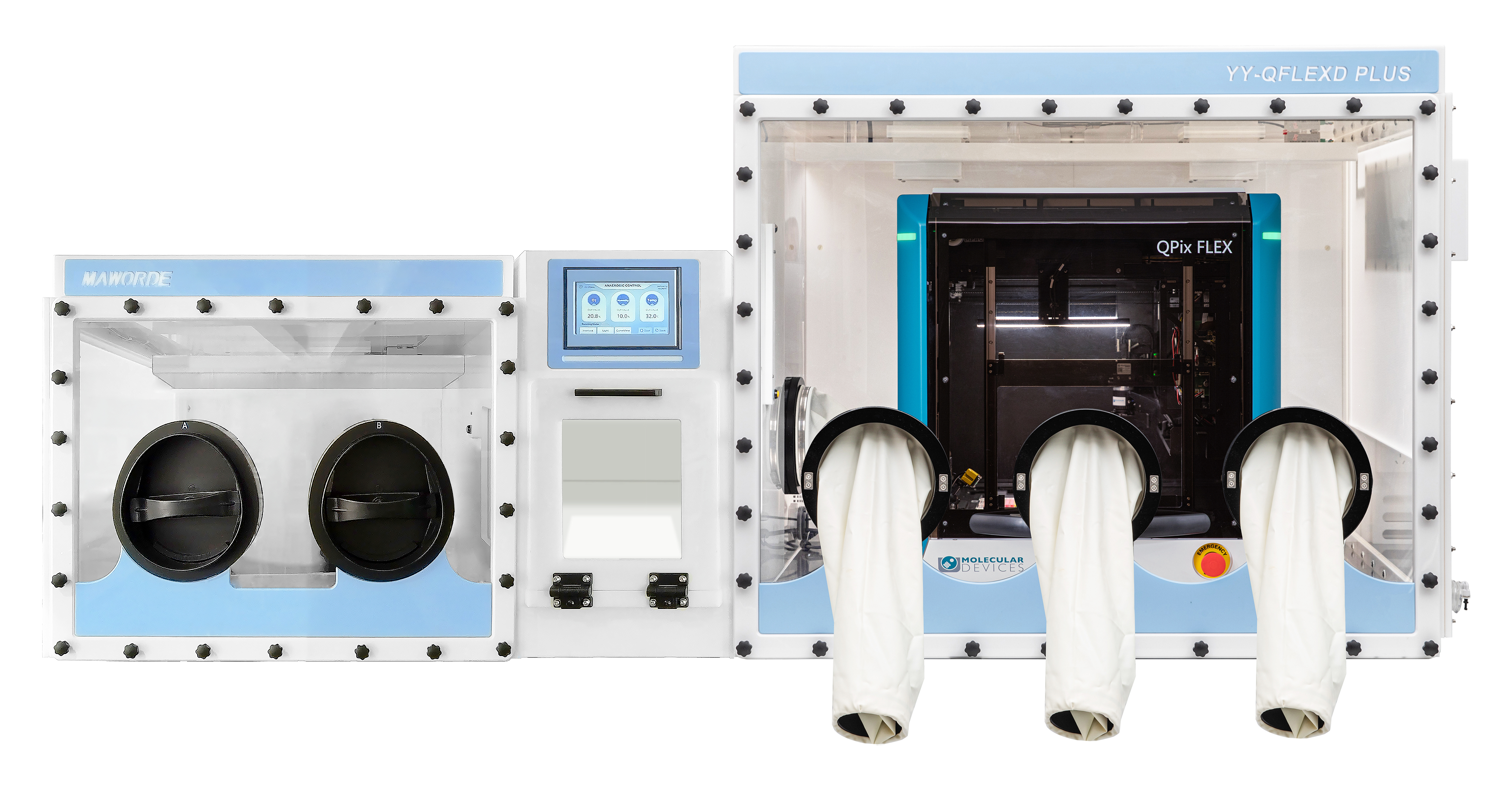 文献解读——成骨细胞信号通路相关研究