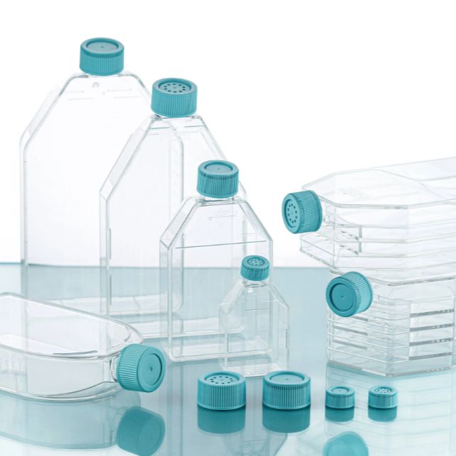 细胞培养瓶，T25，TC，透气盖，灭菌