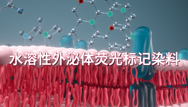 师姐，你推荐的这款染料做外泌体摄取真好用！