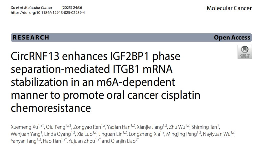 【IF 33.9】揭秘circRNA调控口腔癌新机制 ——Absin microRNA提取试剂盒助力m6A甲基化研究新突破