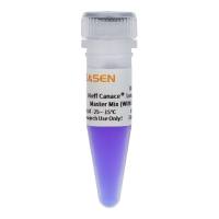 长片段高保真PCR预混液