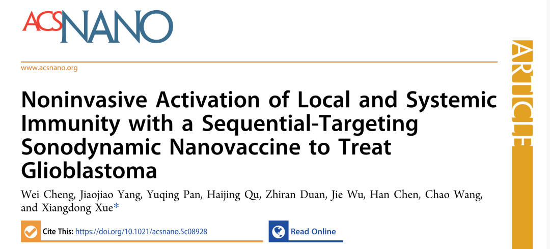 从模型构建到疗效验证：脑立体定位仪支撑序贯靶向声动力纳米疫苗破解GBM治疗难题