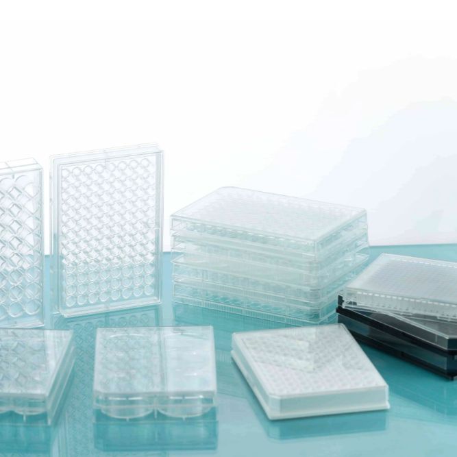 细胞培养板，24孔，平底，TC，灭菌，泡盒装