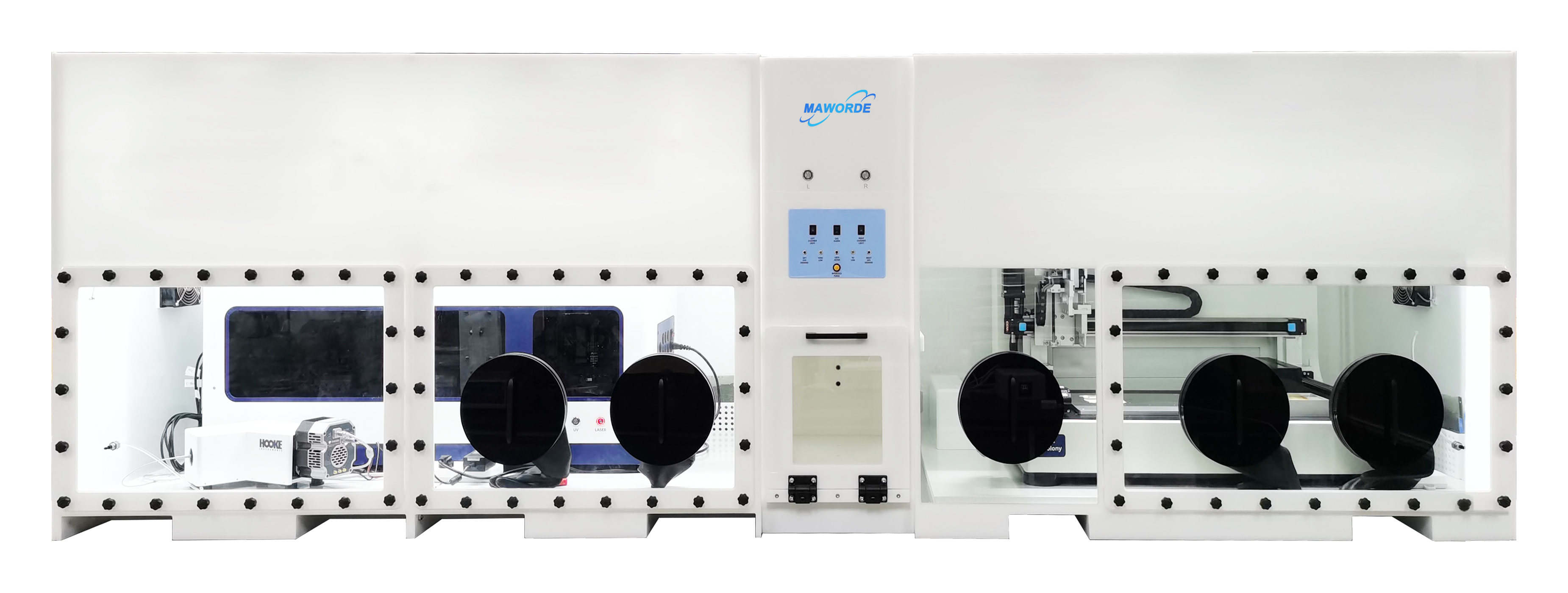 文献解读——成骨细胞信号通路相关研究