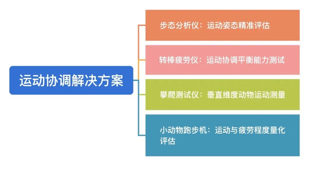 从步态到攀爬：如何精准“翻译”实验动物的运动语言？