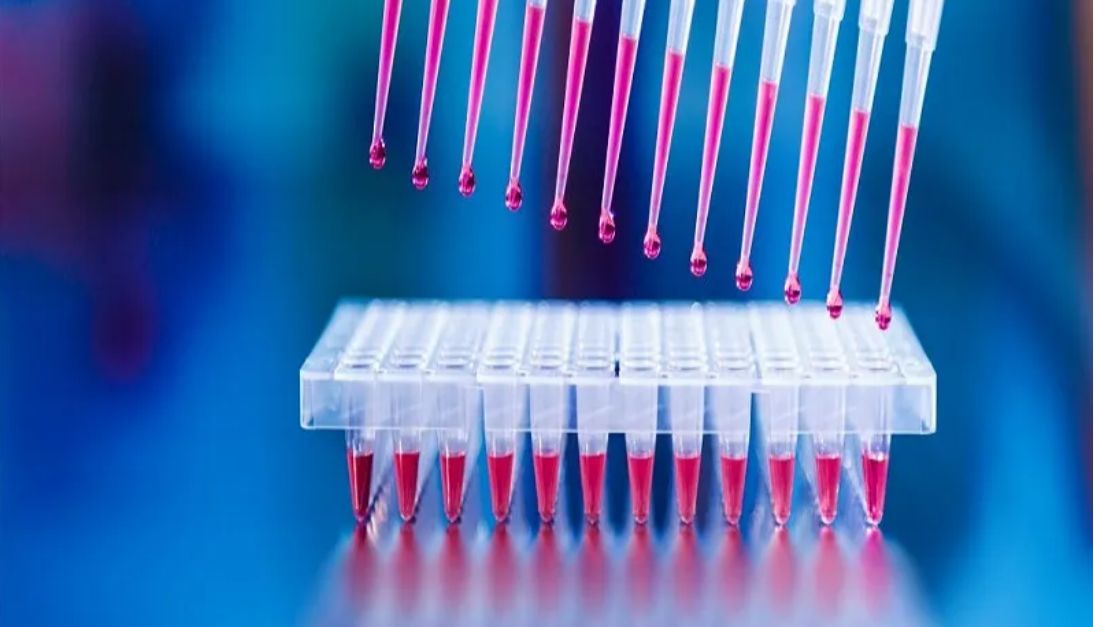 各种PCR傻傻分不清楚，怎么办？