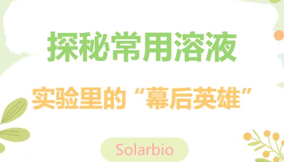 探秘常用溶液：实验里的 “幕后者” 如何发力