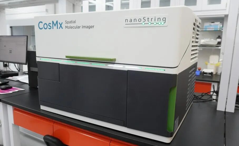 芯空一号Update | 国内首批CosMx SMI WTX实测数据新鲜出炉