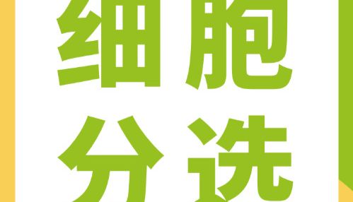 Bioss 定制服务 | 流式细胞分选！