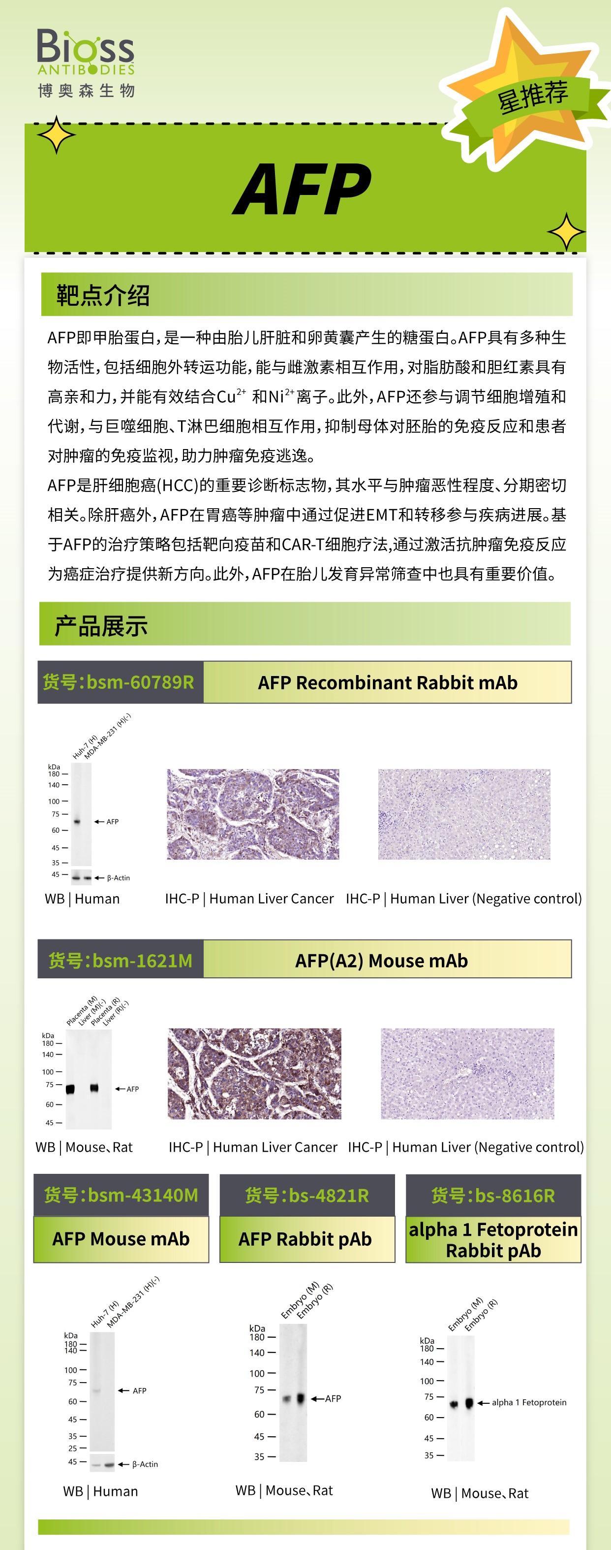 Bioss 星推荐 | AFP 抗体