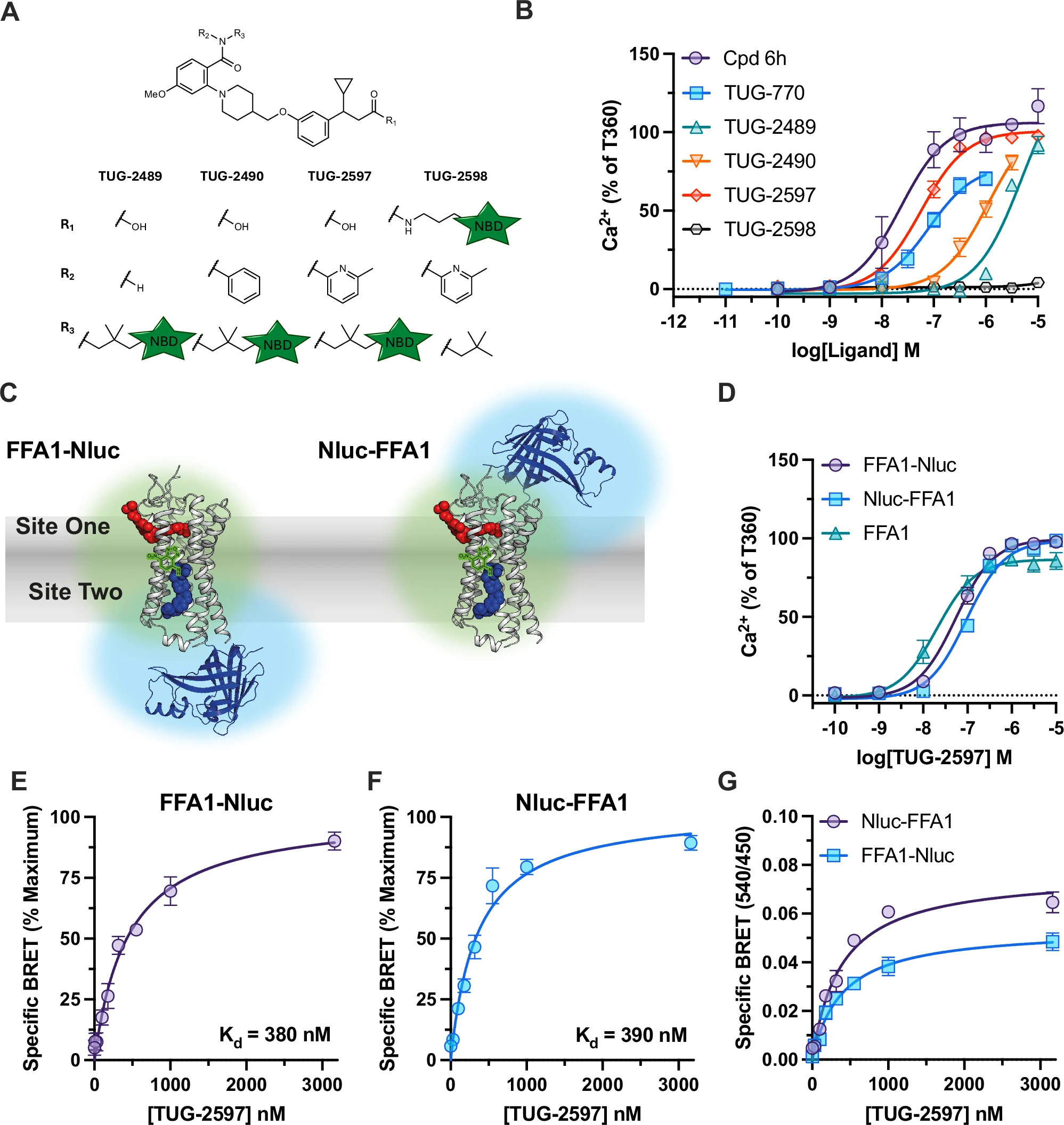 BMG LABTECH多功能酶标仪文献分享,丹麦研究团队发表在Nature Communications 是名为Multicolored sequential resonance energy transfer for detection of simultaneous ligand binding at G protein-coupled receptors