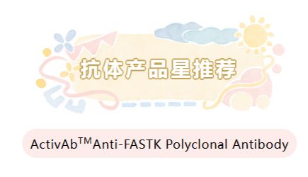 抗体产品星推荐第三十三期|ActivAb™Anti-FASTK Polyclonal Antibody