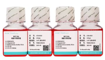 常用阿尔茨海默病研究细胞系及特点：SH-SY5Y、Neuro-2a、BV-2、HT22细胞
