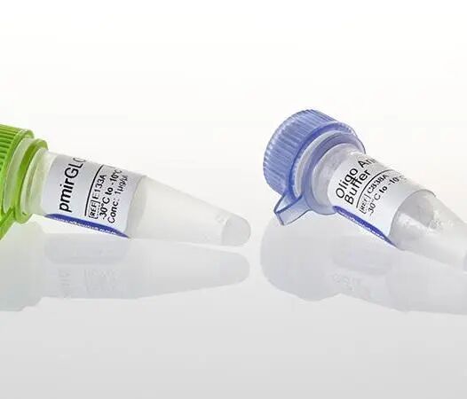 利用双萤光素酶检测揭示非编码RNA在疾病中的作用