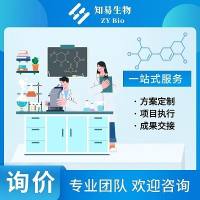 一体化综合型CRO服务解决方案