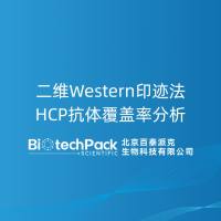 二维Western印迹法HCP抗体覆盖率分析