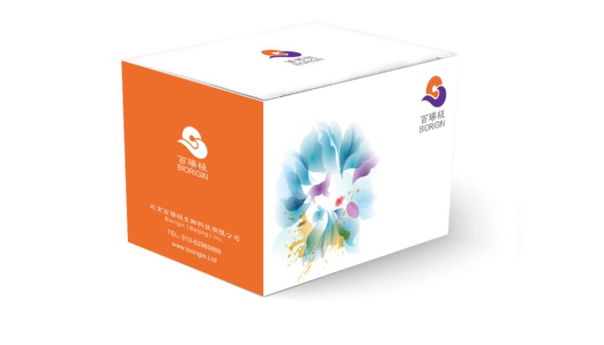 ELISA 升级----CBA 多因子检测试剂盒