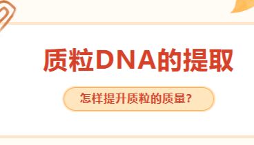 满满的干货（三）：质粒DNA的提取，困难解决了吗？