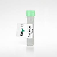 Hamster anti Mouse CD121a,clone JAMA-147