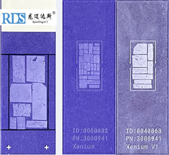 组织蜡膜制备组织芯片