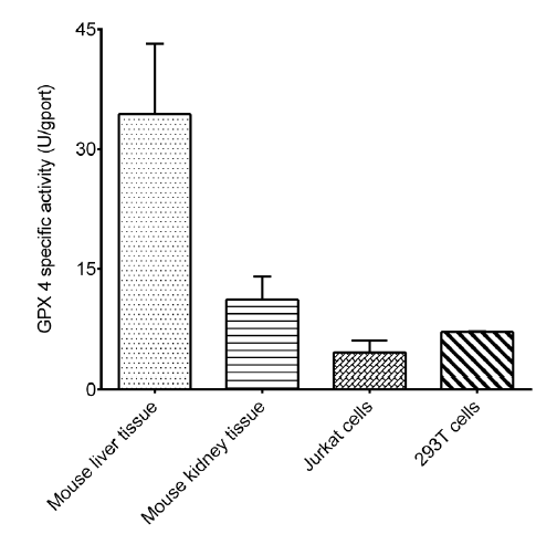 Elabscience谷胱甘肽过氧化物酶4（GPX4）活性检测试剂盒：铁死亡研究的 “精准检测利器”，助你解锁机制新突破