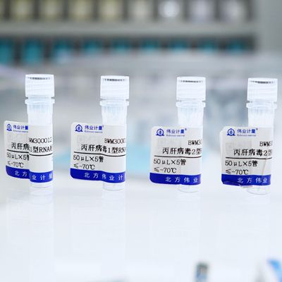 丙肝病毒RNA标准物质