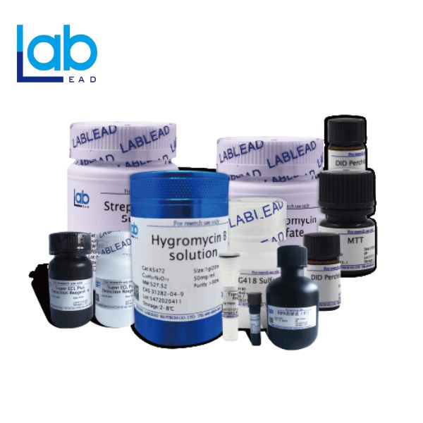 CHIP assay kit(Magnetic)