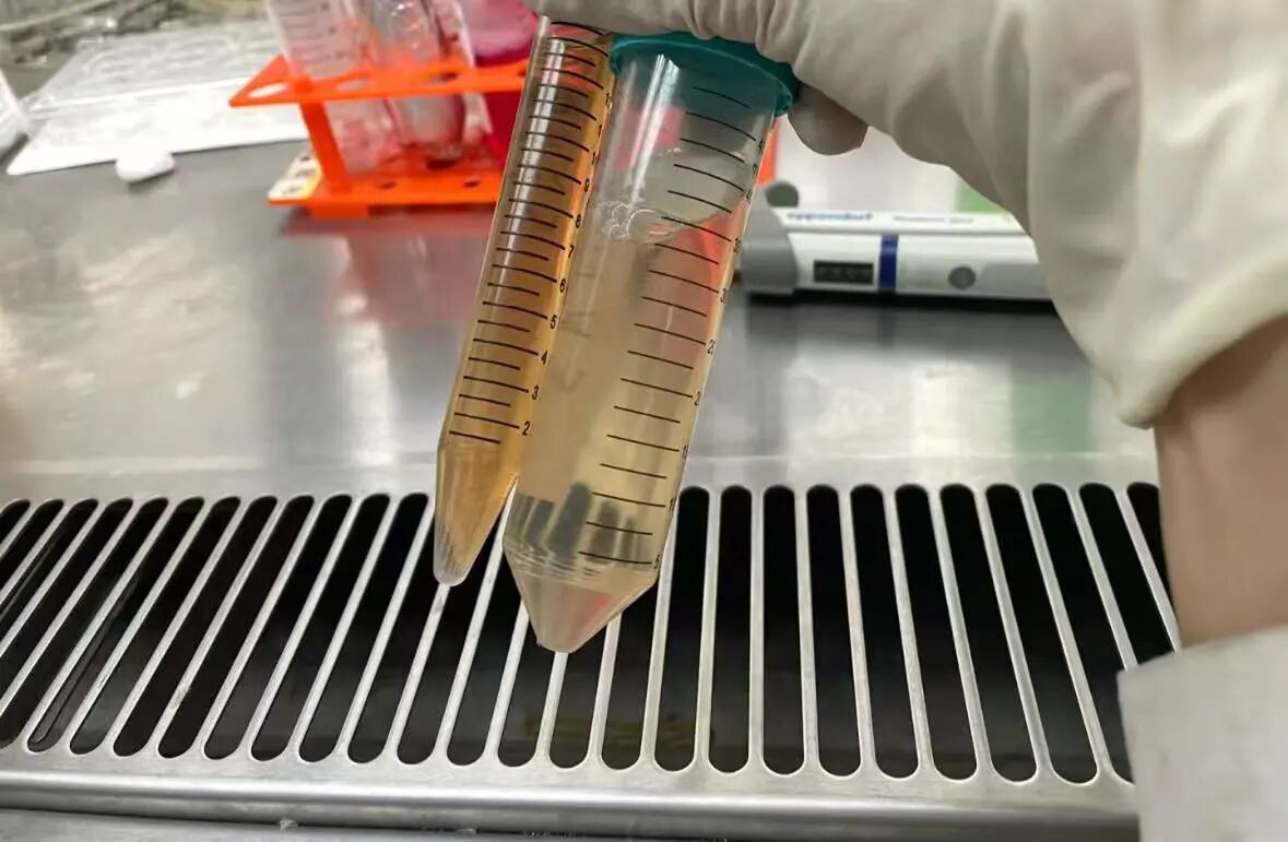 血清使用常见问题及应对方法